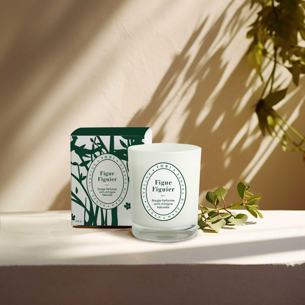 Bougie parfumée Figue Figuier Yodi avec sa boîte, sur une étagère au soleil