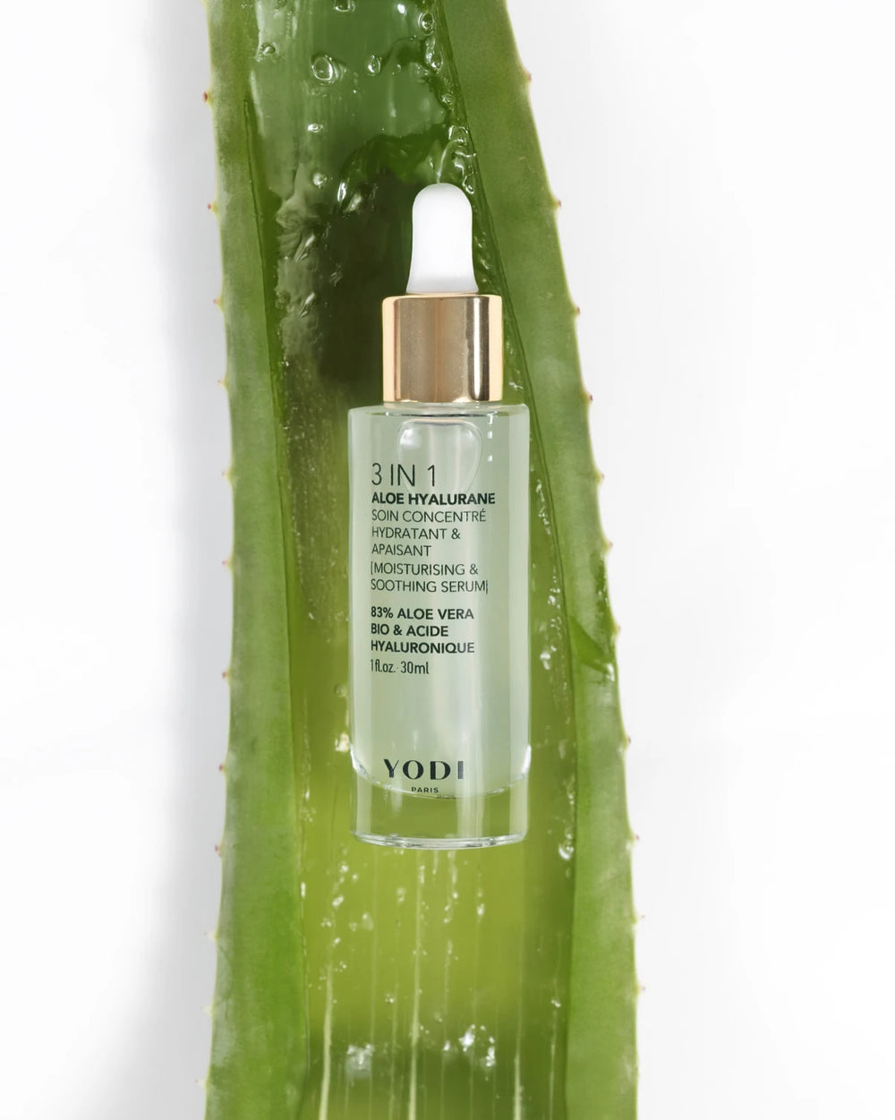 L’Aloe vera bio